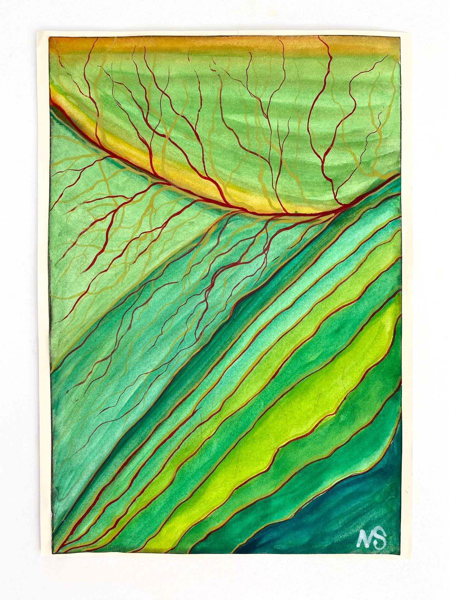 Macro Leaf