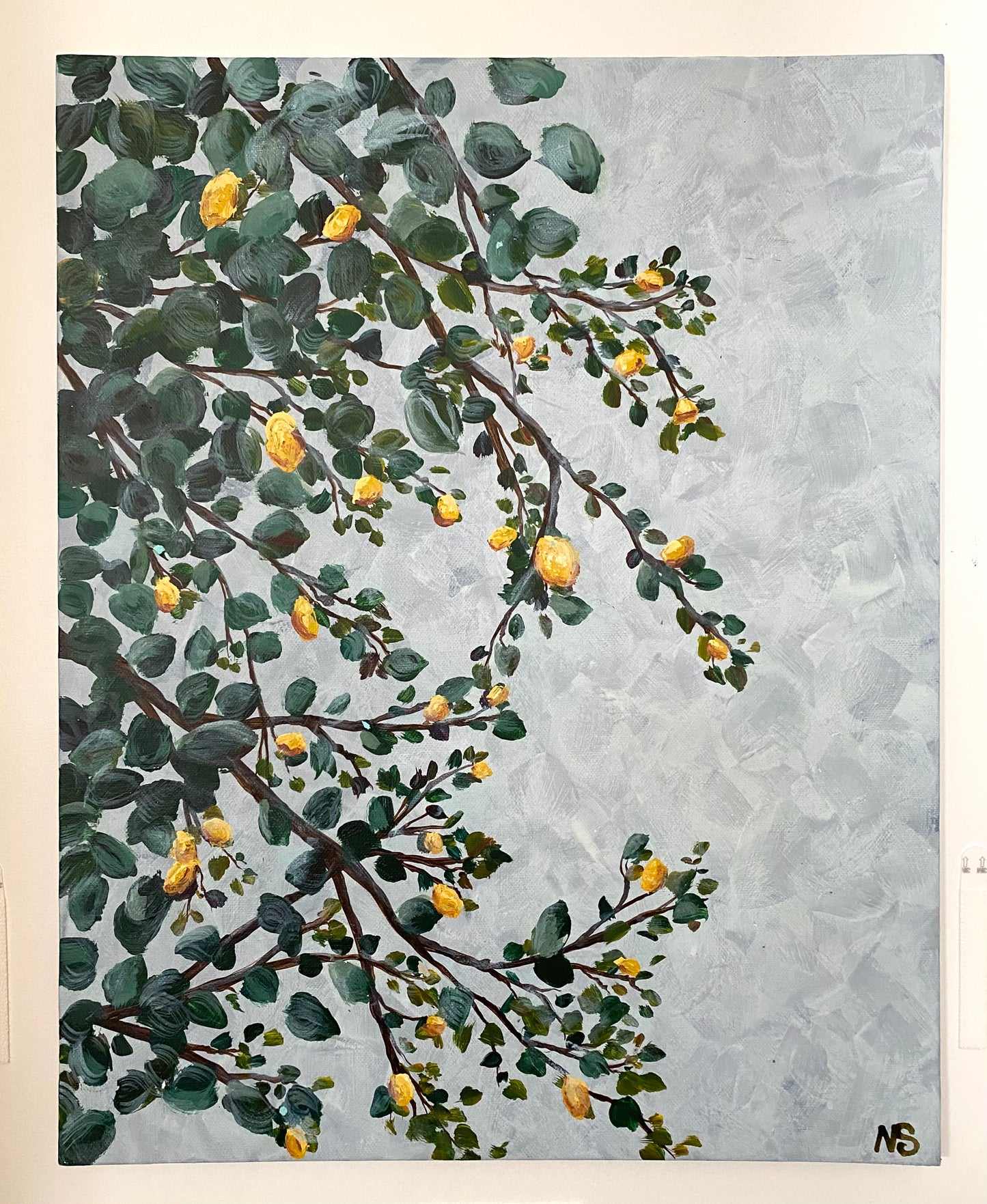 Lemon Tree Branches