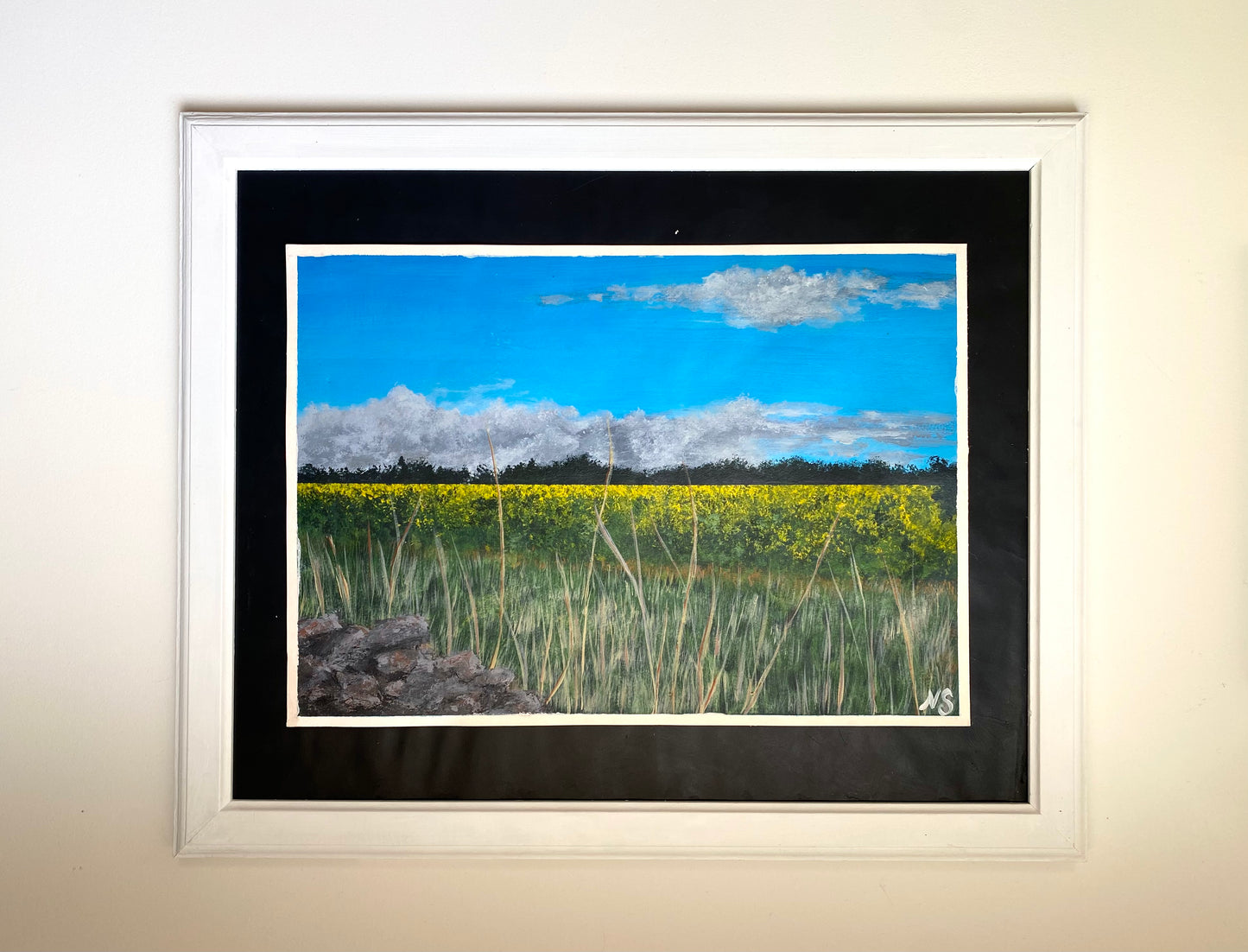 Canola Field