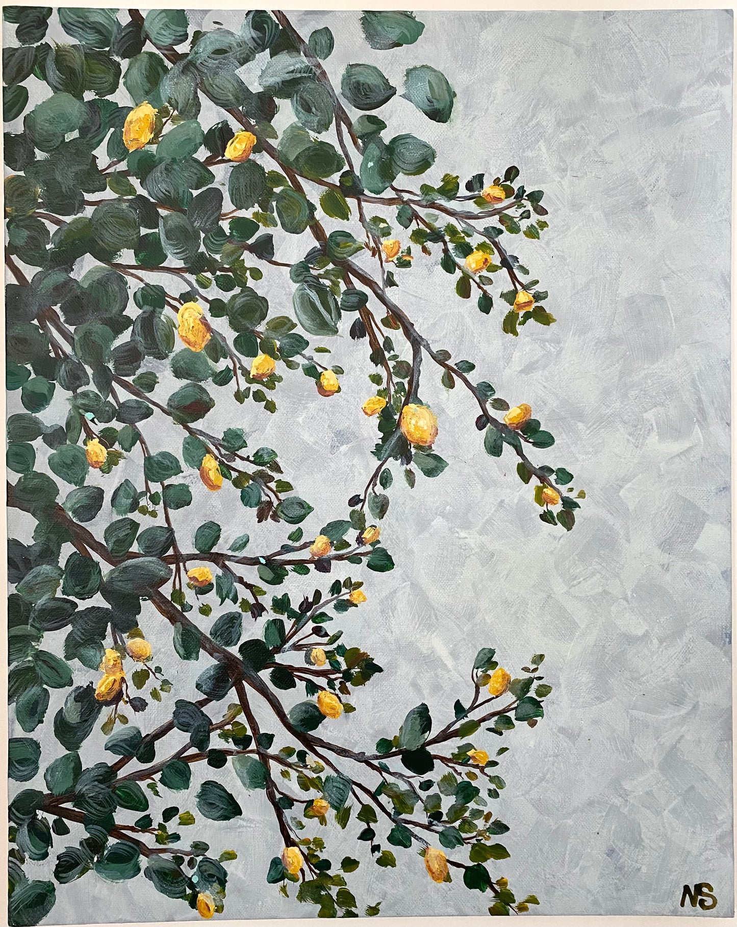 Lemon Tree Branches
