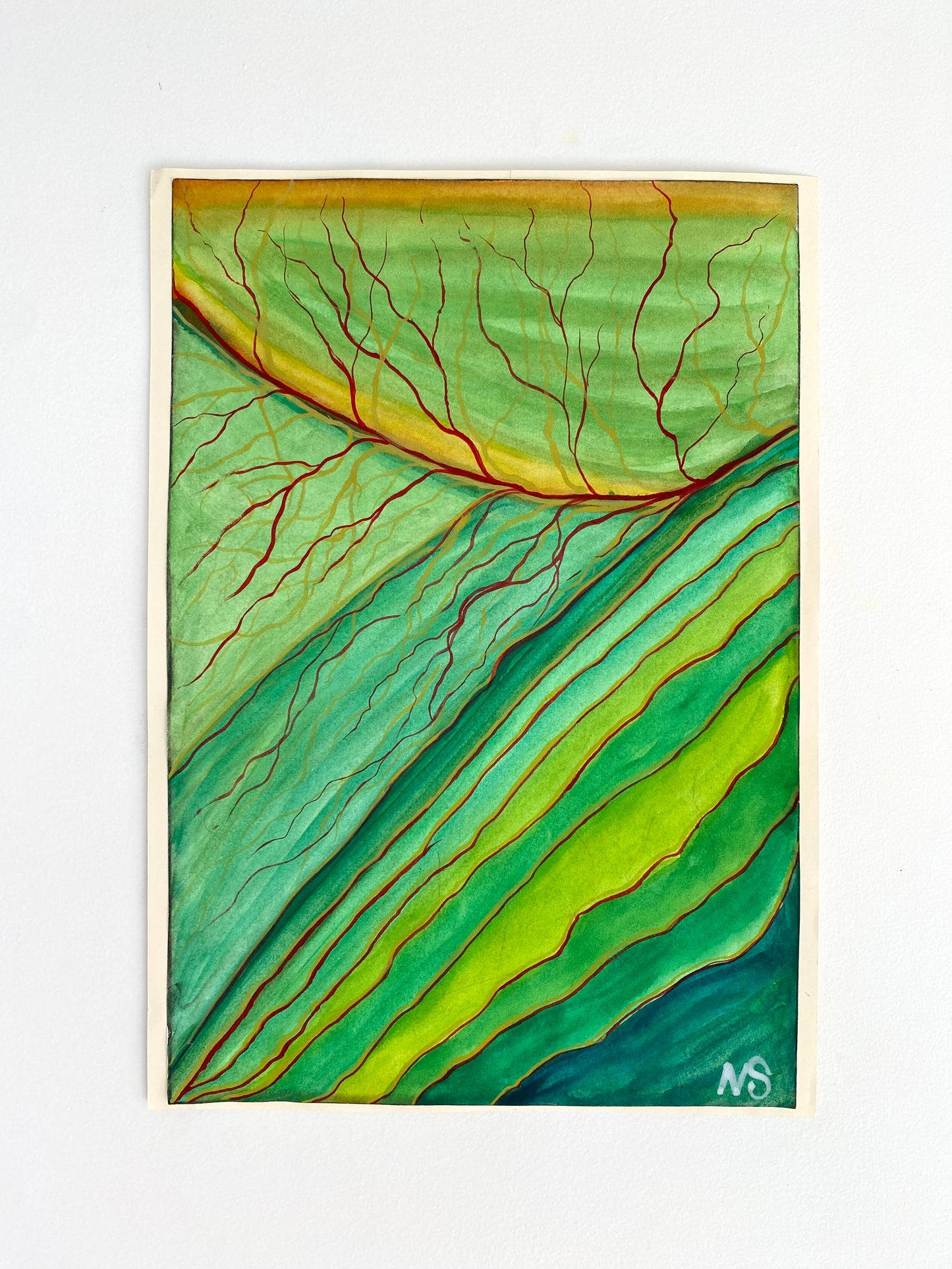 Macro Leaf