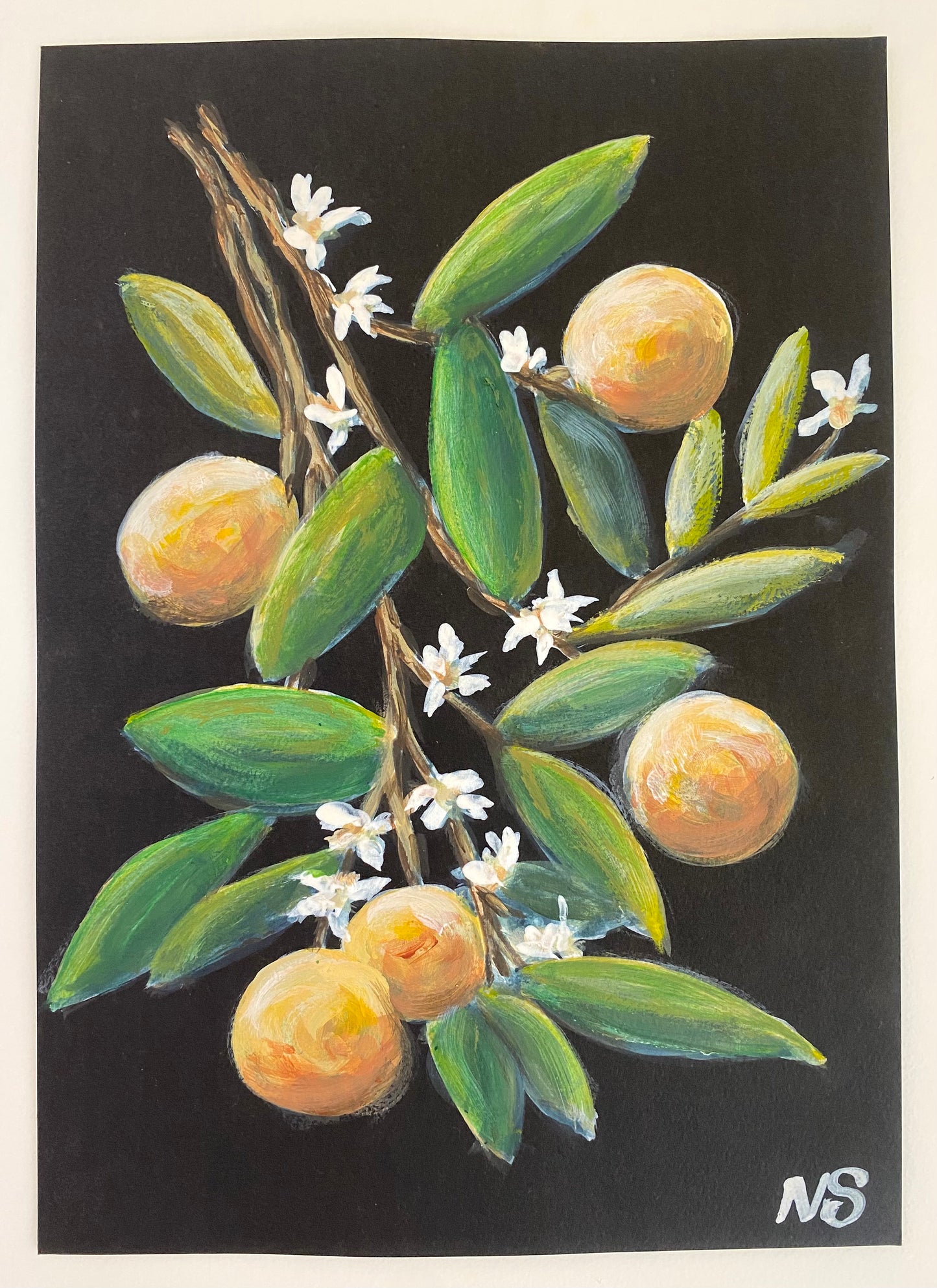 Orange Blossom